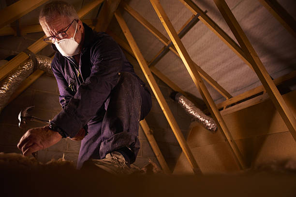 Best Insulation Repair Services  in Pageland, SC